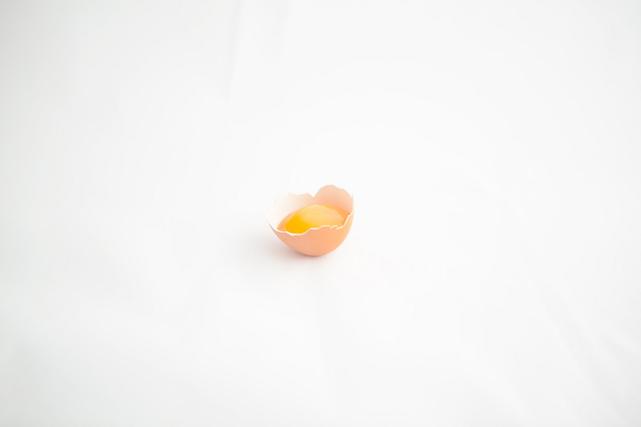 Egg shell with yolk - LoraPhotography.com