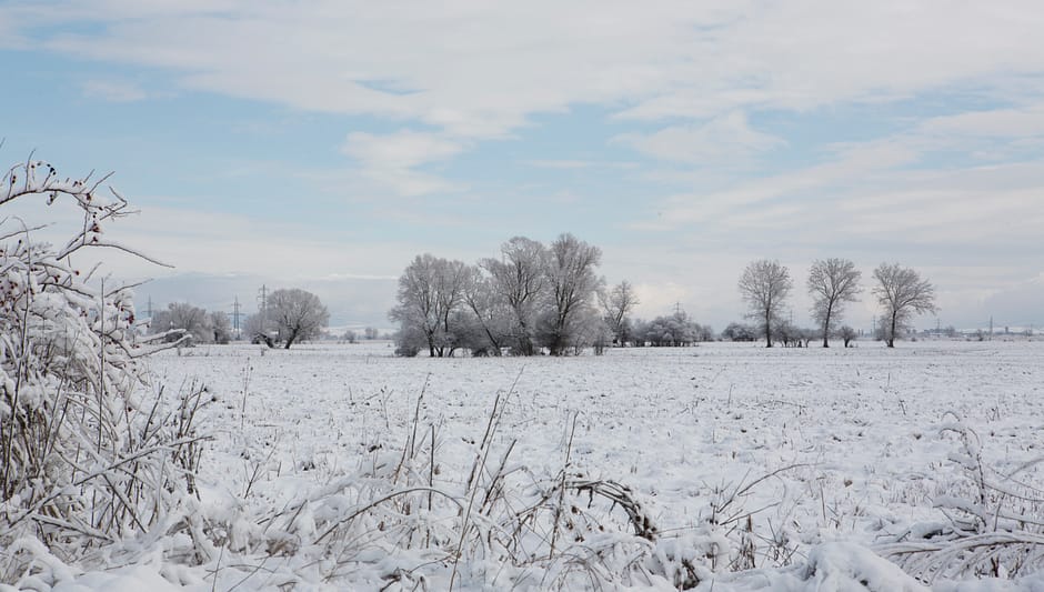 White winter in Bulgaria