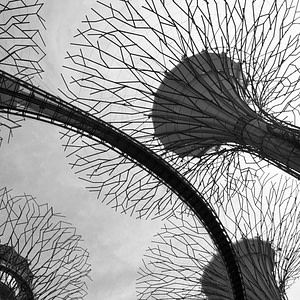 The Supertrees, Singapore